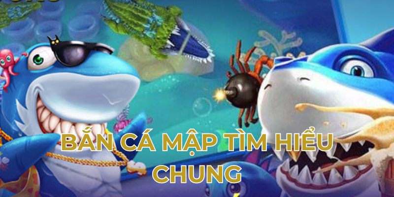 Bắn cá mập tìm hiểu chung